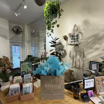 REWILD Capitol Hill - Nurseries & Gardening Near Me - Washington, DC, District of Columbia