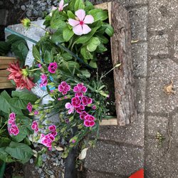 Lifetime Garden Center - Purchased planter