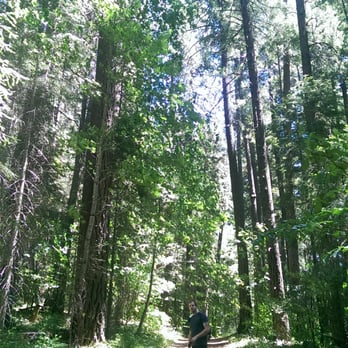 Lakeview Terrace Resort - Redwood forest trail by lakeview - Resorts Near Me - Lewiston, California Lakeview Terrace Resort - Redwood forest trail by lakeview - Resorts Near Me - Lewiston, California