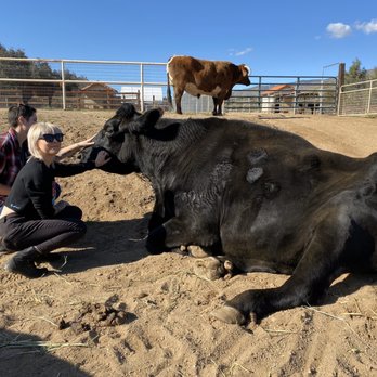 Farm Sanctuary - Animal Shelters Near Me - Acton, California Farm Sanctuary - Animal Shelters Near Me - Acton, California