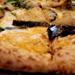 Zoni's Brooklynn Brick Coal Pizzeria - Vodka pizza with Sesame Crust and Eggplant.
