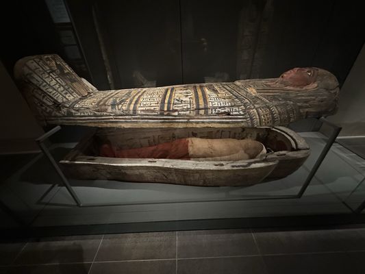 Museo Egizio by null