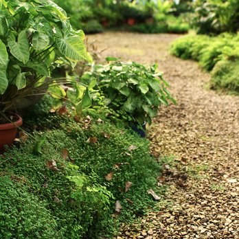 Dr. Greenthumb - a path in a garden - Pest Control Near Me - Palmetto, Florida Dr. Greenthumb - a path in a garden - Pest Control Near Me - Palmetto, Florida