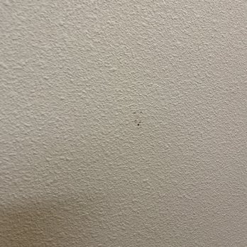 Rodeway Inn & Suites Canyon Lake I-15 - Dead bugs on the walls - Hotels Near Me - Canyon Lake, California Rodeway Inn & Suites Canyon Lake I-15 - Dead bugs on the walls - Hotels Near Me - Canyon Lake, California