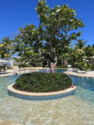 Encanto Beach Club Bar & Grill by null