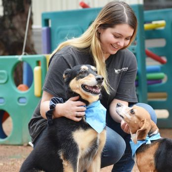 Pawderosa Ranch - Pet Groomers Near Me - San Antonio, Texas Pawderosa Ranch - Pet Groomers Near Me - San Antonio, Texas