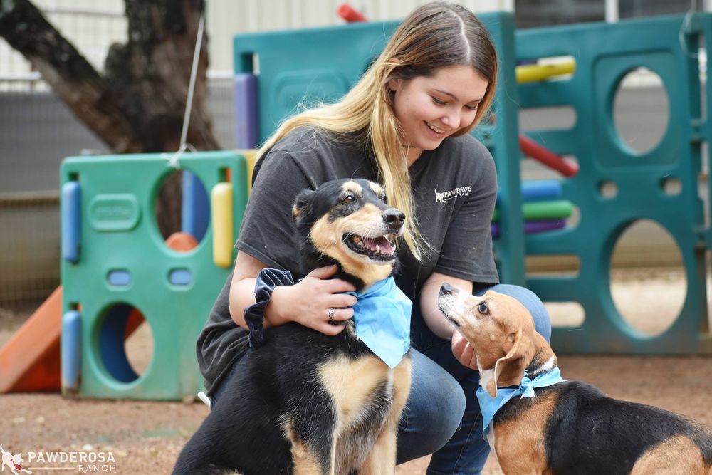 Pawderosa Ranch - pet boarding facility in San Antonio, TX
