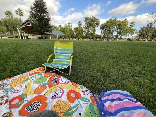 Central Park by null