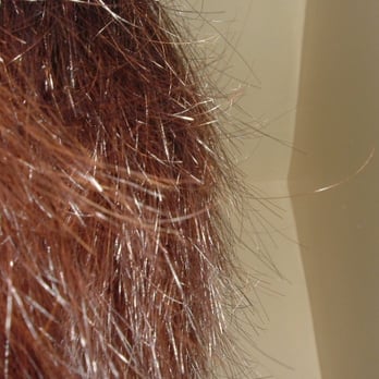 Evoke Salon - Hair Salons Near Me - Toronto, Ontario Evoke Salon - Hair Salons Near Me - Toronto, Ontario