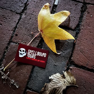Spellbound Tours by null