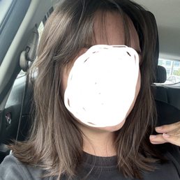 fresh cut fresh cut