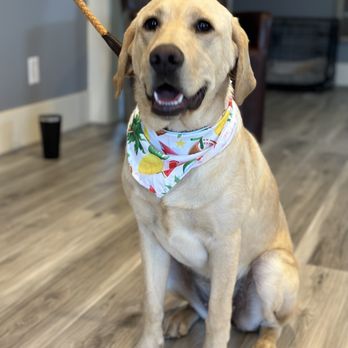 Leash & Lather - Pet Groomers Near Me - Redmond, Oregon