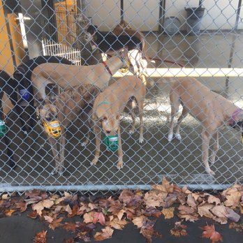 Hemopet - Pet Adoption Near Me - Garden Grove, California Hemopet - Pet Adoption Near Me - Garden Grove, California