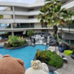 OUTRIGGER Kona Resort & Spa - View of the swimming pool