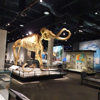Royal Alberta Museum - Mamoth - Museums Near Me - Edmonton, Alberta Royal Alberta Museum - Mamoth - Museums Near Me - Edmonton, Alberta
