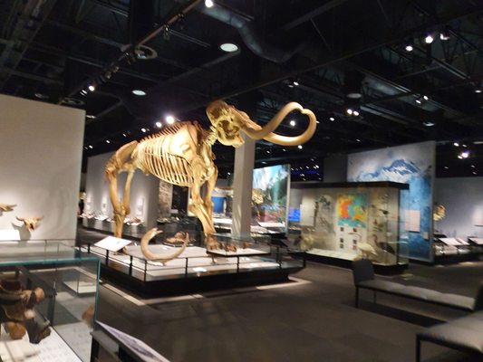 Royal Alberta Museum by null