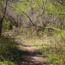 Froehlich Farm Nature Preserve