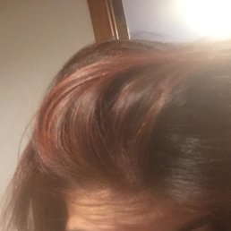 Highlights