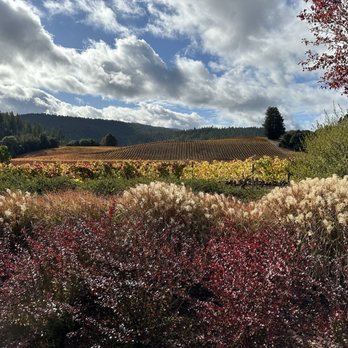 Goldeneye Winery - Just stunning.. - Wineries Near Me - Philo, California Goldeneye Winery - Just stunning.. - Wineries Near Me - Philo, California