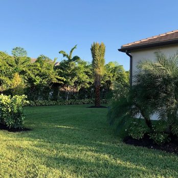 Sanctuary Gardens - Calusia hedge and sylvester palm - Nurseries & Gardening Near Me - Loxahatchee, Florida Sanctuary Gardens - Calusia hedge and sylvester palm - Nurseries & Gardening Near Me - Loxahatchee, Florida