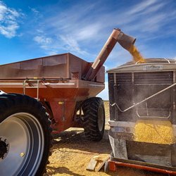 Valley Feed & Supply