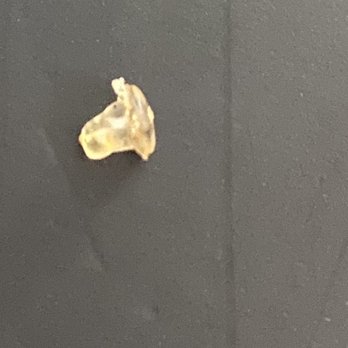 Ghoroaa Restaurant - The foreign object found in food (rubber back of earring) - Halal Near Me - East York, Ontario Ghoroaa Restaurant - The foreign object found in food (rubber back of earring) - Halal Near Me - East York, Ontario