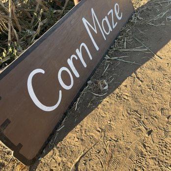 Tanaka Farms - CSA Near Me - Irvine, California Tanaka Farms - CSA Near Me - Irvine, California