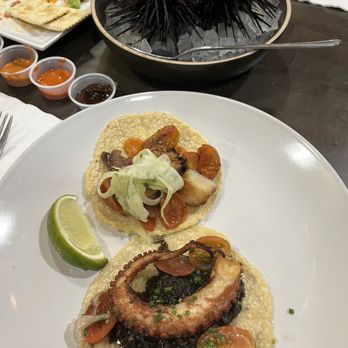 Holbox - Octopus and scallop tacos - Latin American Near Me - Los Angeles, California