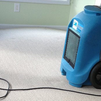 Asure Carpet Cleaning Services - Carpet Cleaning Near Me - College Station, Texas Asure Carpet Cleaning Services - Carpet Cleaning Near Me - College Station, Texas