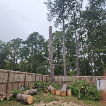 Dtr Tree Service - Tree Services Near Me - Jacksonville, North Carolina