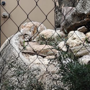 Fort Worth Zoo - Zoos Near Me - Fort Worth, Texas