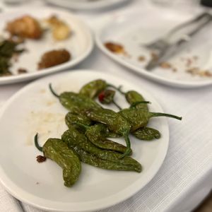 Harmonchini Italian Adventure