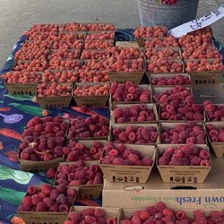 JSM Organics - Beautiful Berries