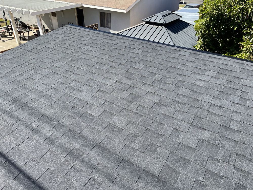 Slide of A J M D Mendoza