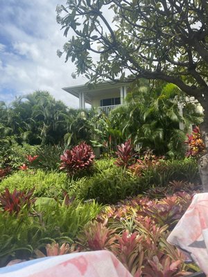 Pineapple Inn Maui by null
