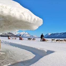 Boreal kennels - Winter Adventures.