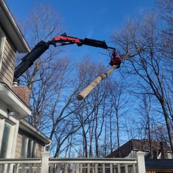Expert Tree Service