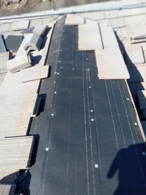 Erik Jackson Roofing and Waterproofing Logo