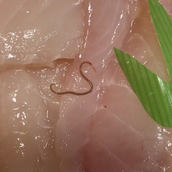 Tokyo Central - Fluke or round worm? - International Grocery Near Me - Gardena, California Tokyo Central - Fluke or round worm? - International Grocery Near Me - Gardena, California