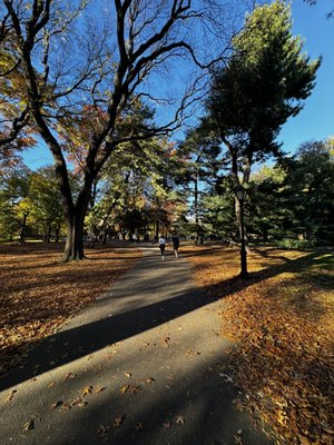 The Great Lawn by null