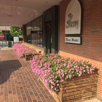 Stems - Welcome to Stems in Utica Square - Florists Near Me - Tulsa, Oklahoma