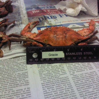 Cameron's Seafood - If this is a medium crab, I'm a lobster..... at least 5 crabs under 5" across the points in my 2 dozen mediums - Seafood Near Me - Laurel, Maryland