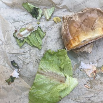 Noah's NY Bagels - Dead ass lettuce. Turkey avocado club. Disgusting. - Bagels Near Me - Burbank, California