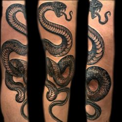 Phoenix Ink & Beauty