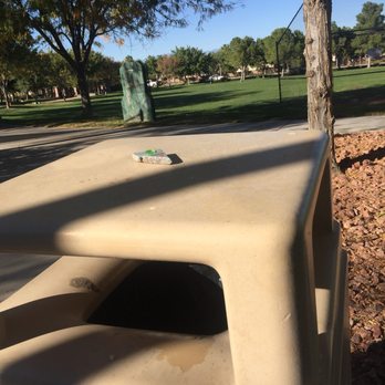 Discovery Park - This park has been rocked! By me and others :) please post pics with you and a #paintedrock the group is Las Vegas Rocks! :) keep or rehide - Parks Near Me - Henderson, Nevada