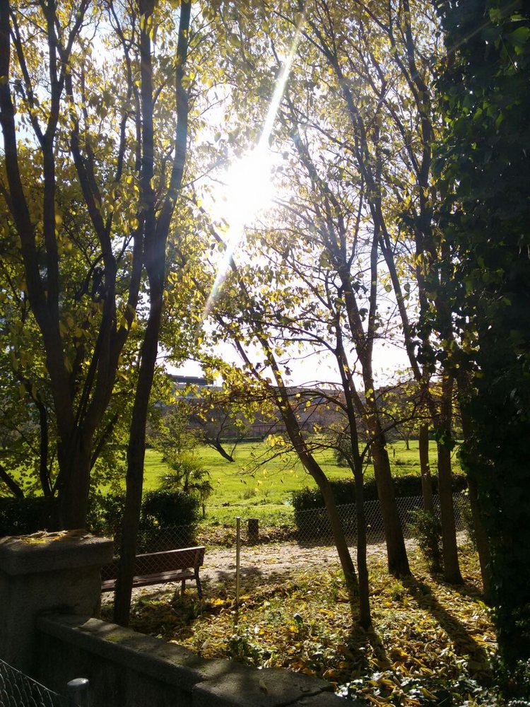 Quinta de Torre Arias