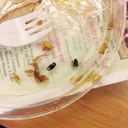 Panda House - Panda house told us this was not a roach.......you decide!