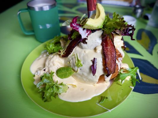 TibbittsFernHill by null