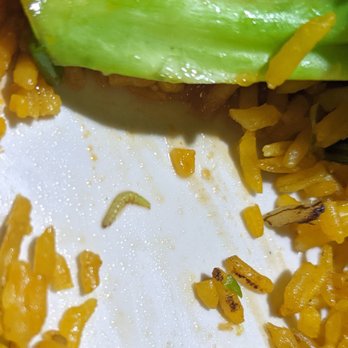Jiang Jun - a close up of a plate of food - Chinese Near Me - Jackson, Tennessee