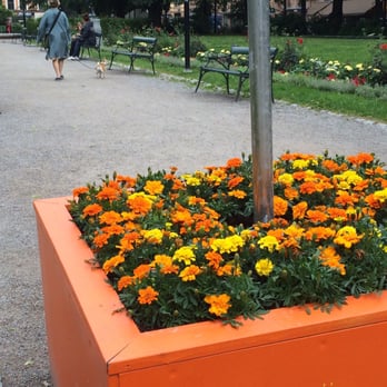 Mariatorget - Blomster - Public Plazas Near Me - Stockholm, Alberta